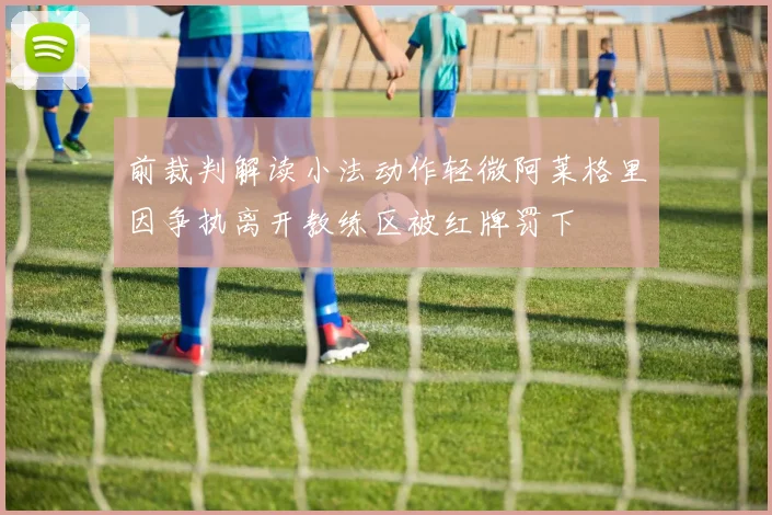 前裁判解读小法动作轻微阿莱格里因争执离开教练区被红牌罚下