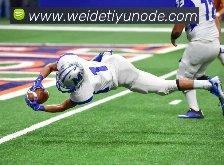 App Interface Preview