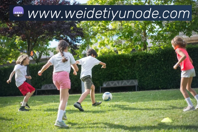 伟德体育APP 封面图